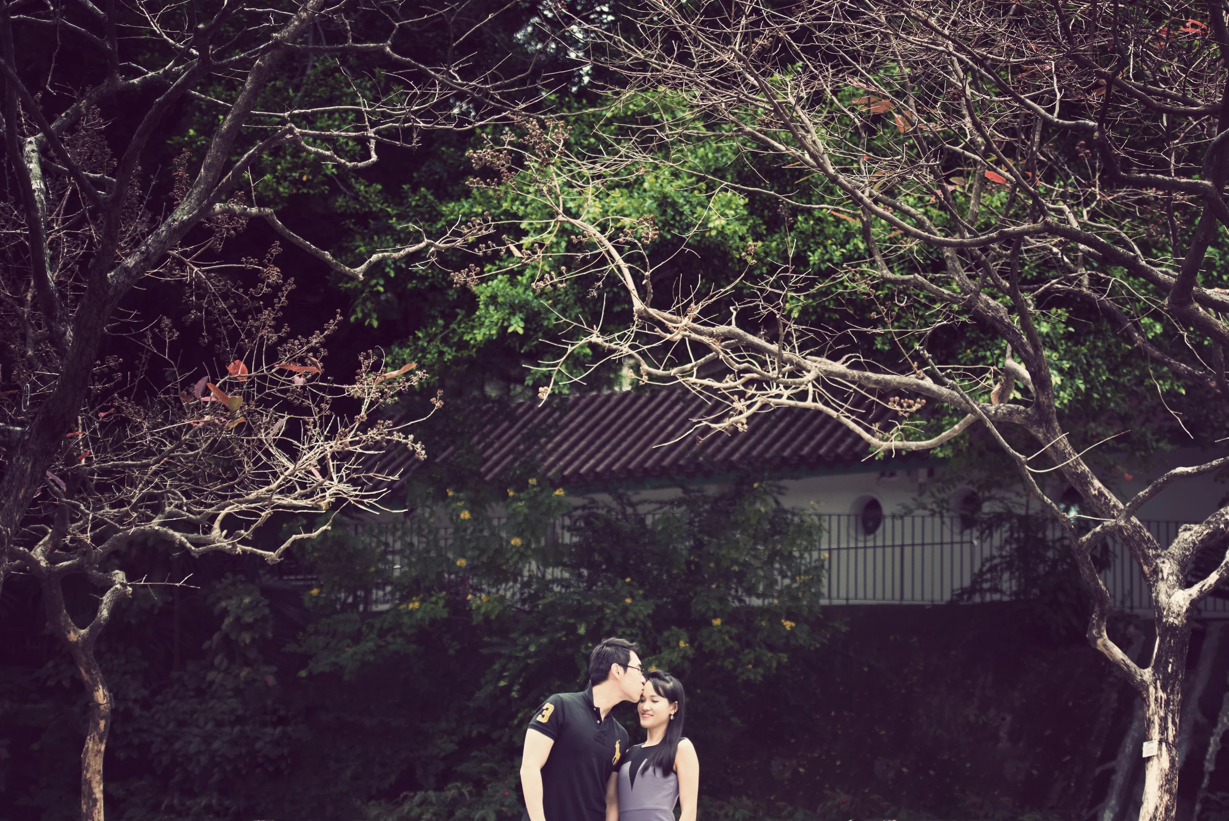 DSC_6853v.jpg