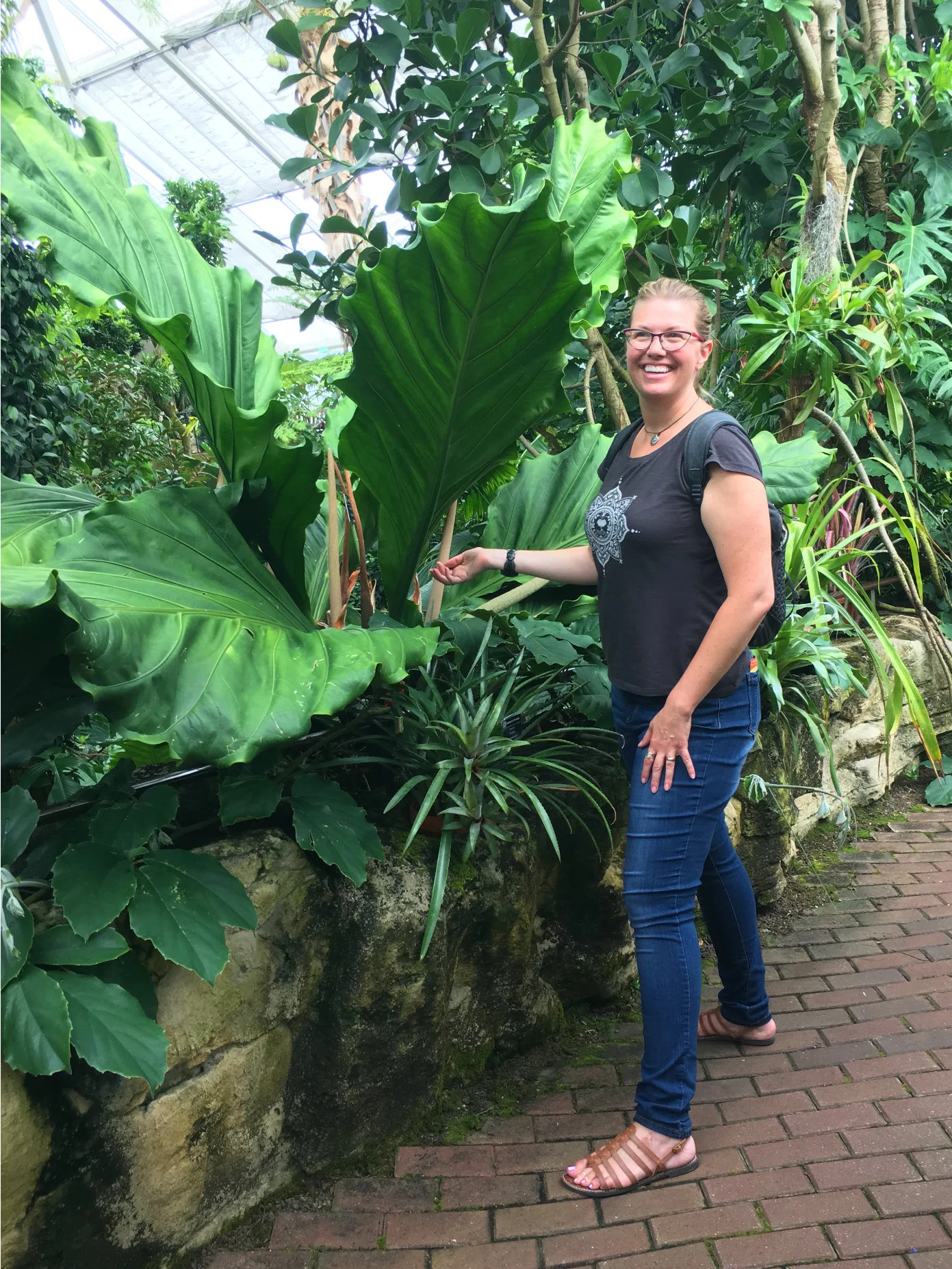 huge leaves.jpg
