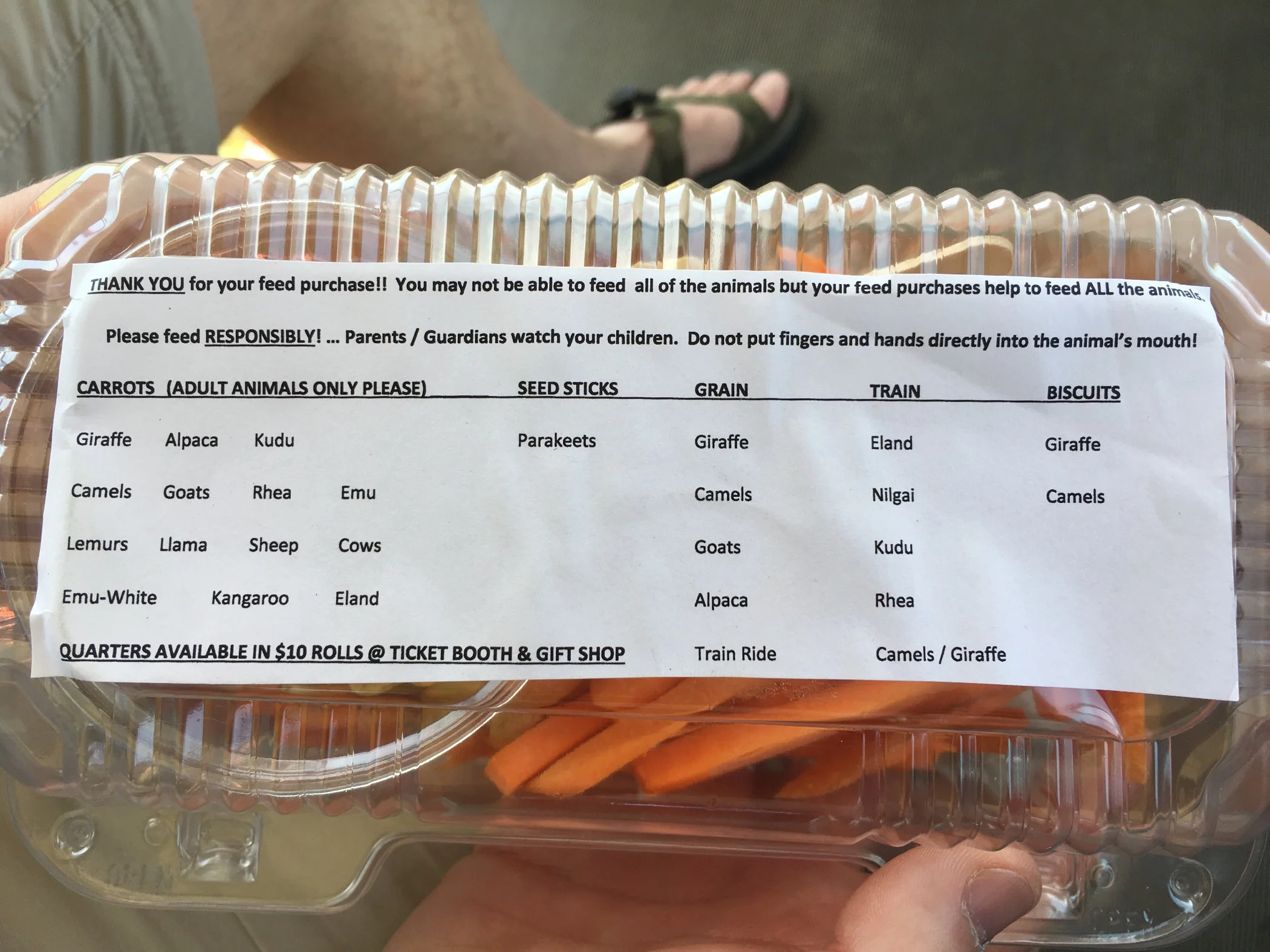 lunchbox.jpg