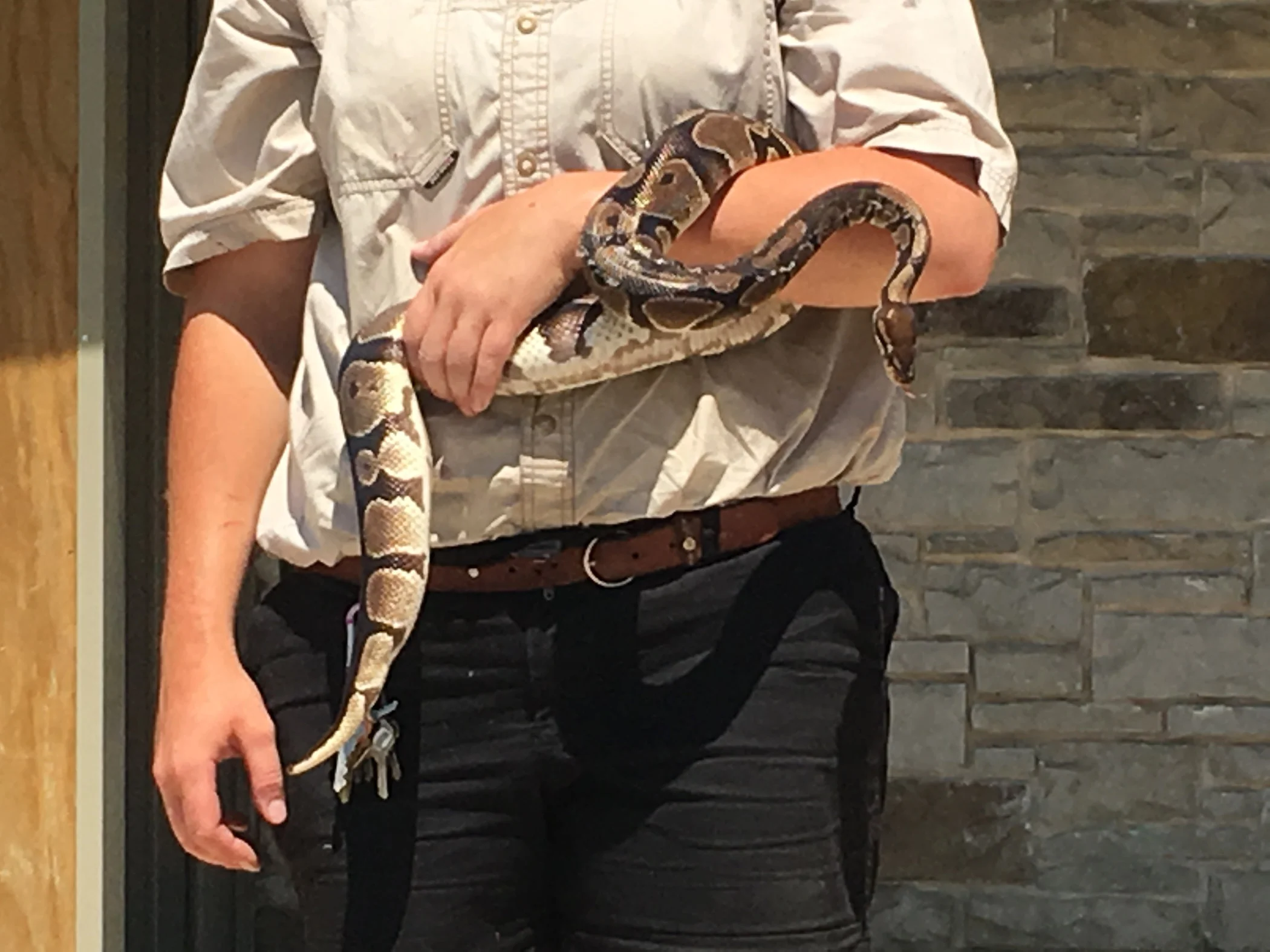 snake.jpg