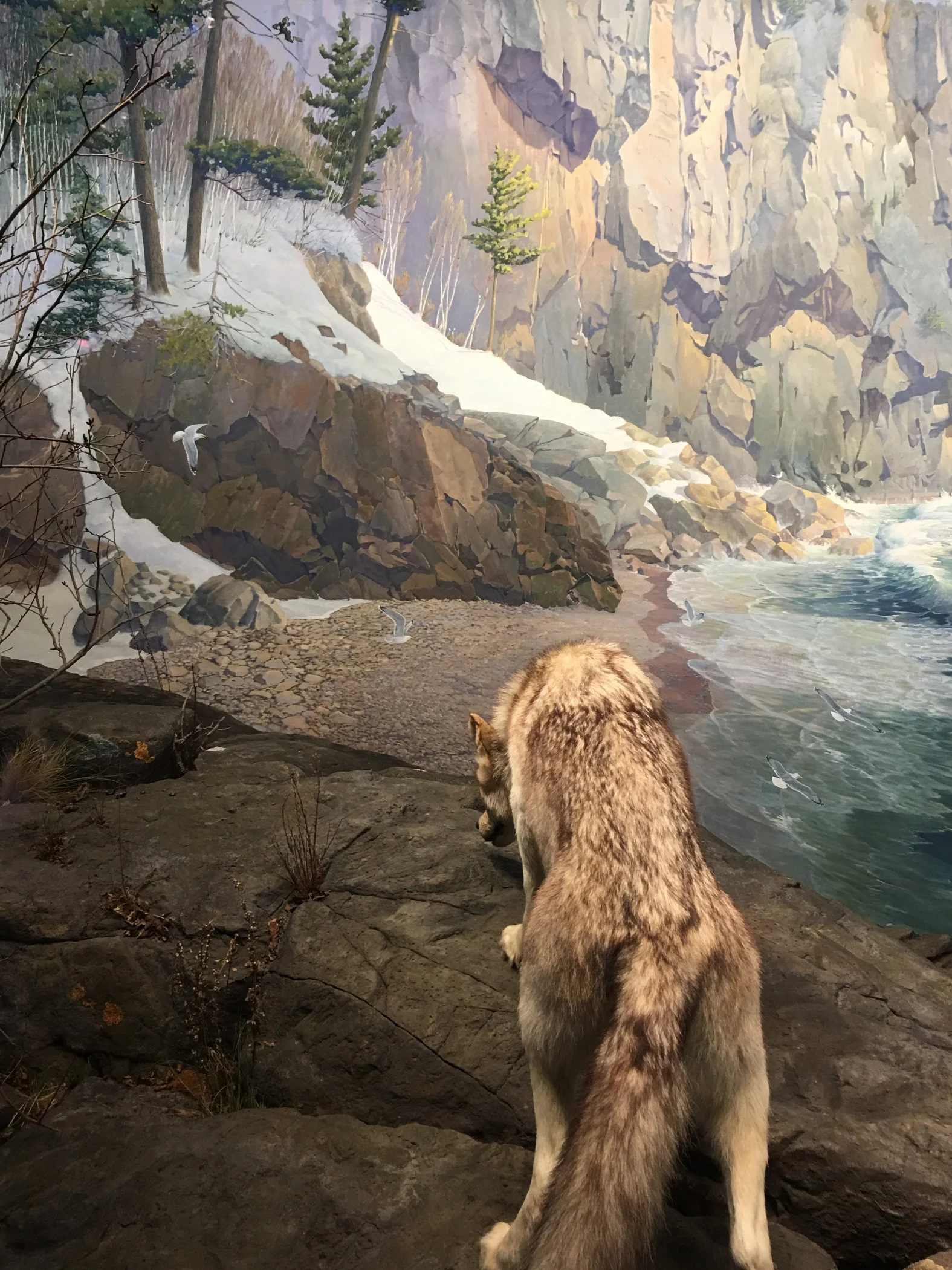 deer-n-wolf.jpg