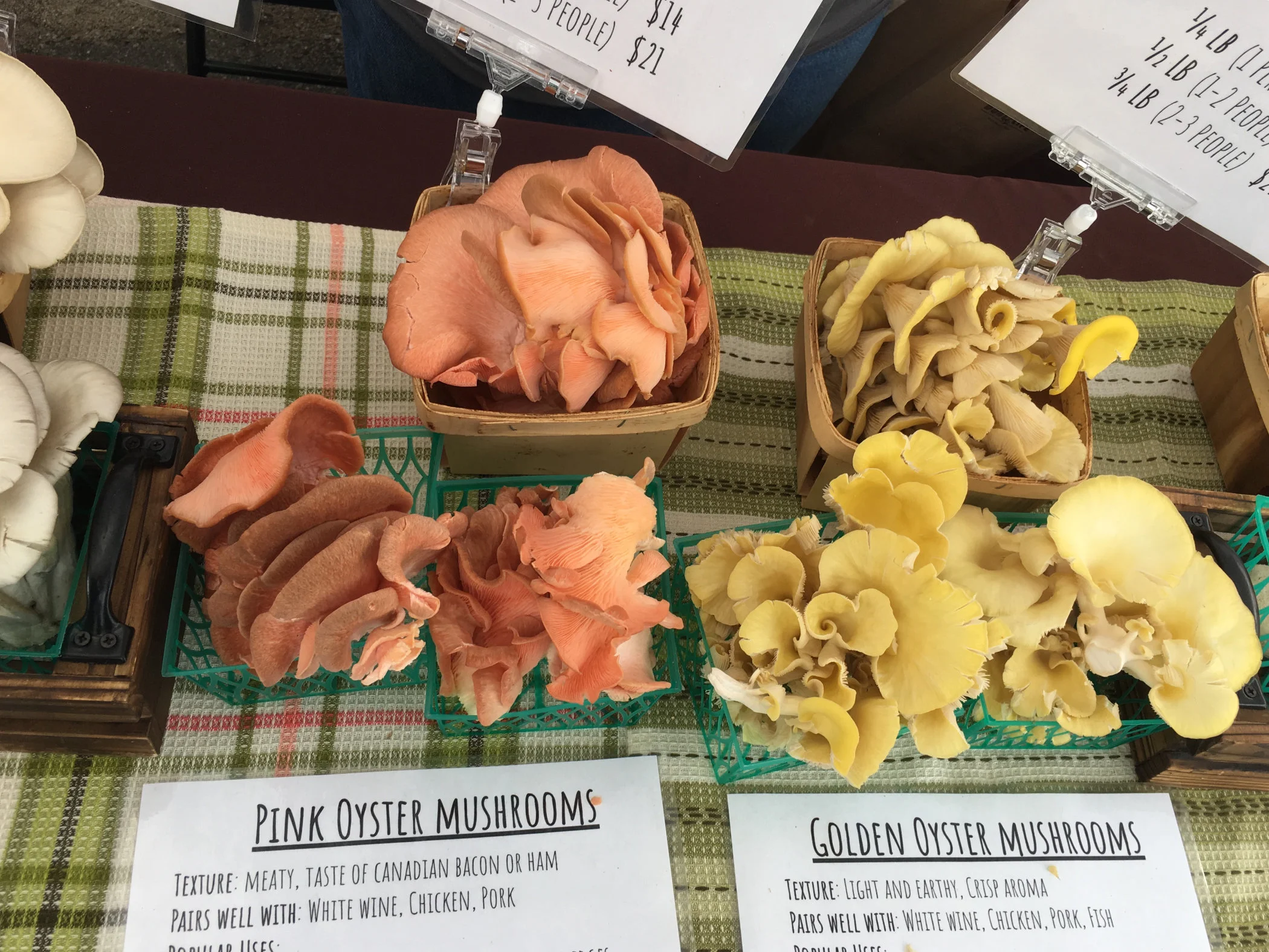 mushrooms.jpg