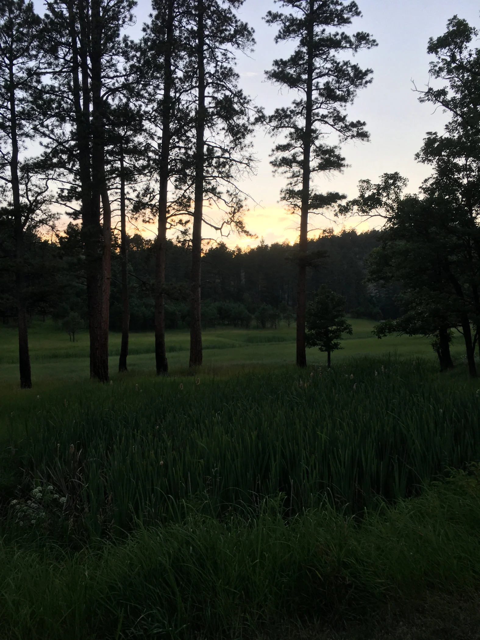 Site01.jpg
