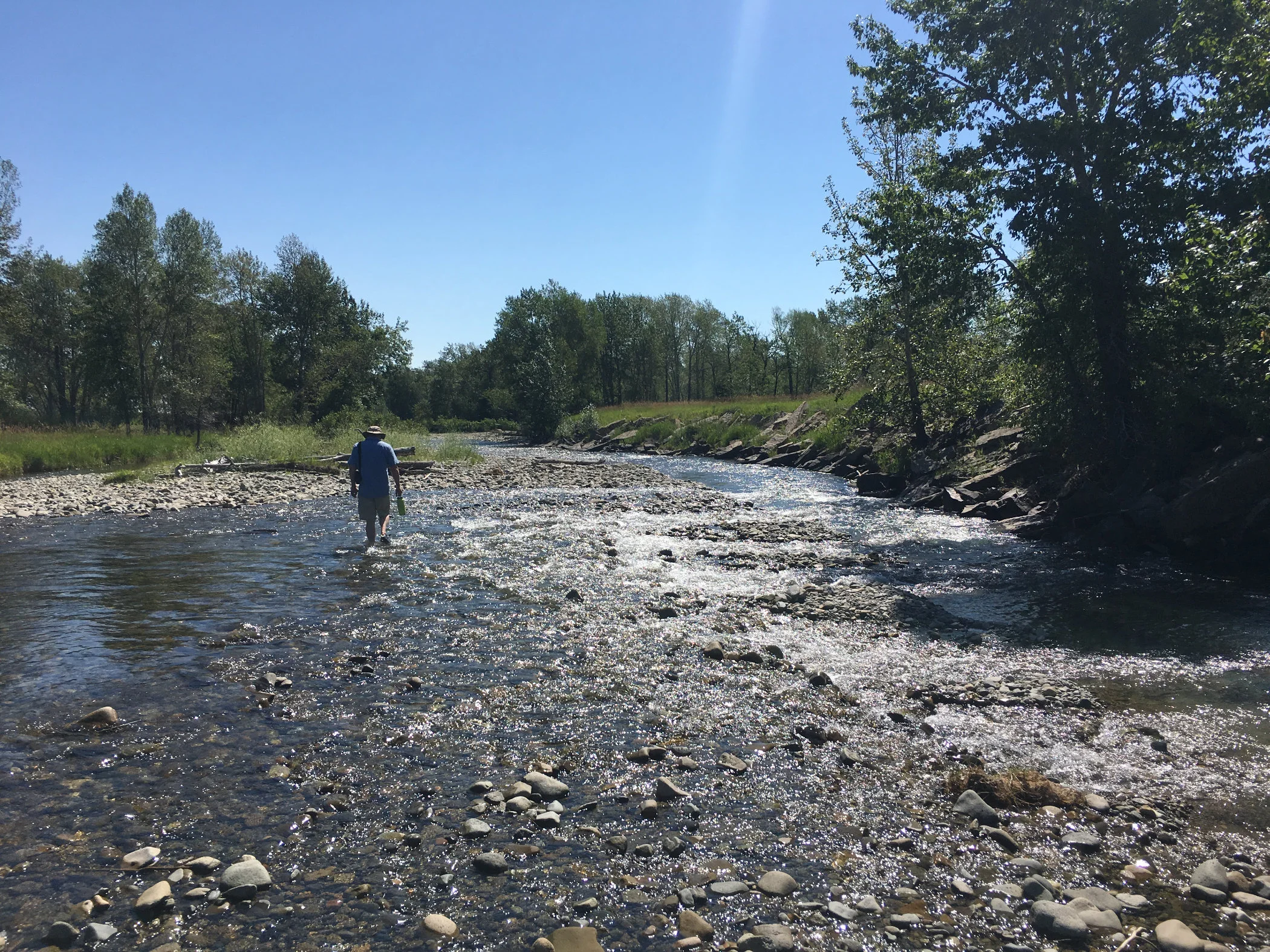 creek-hike.jpg