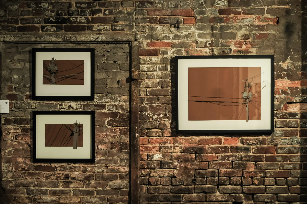 tcp annual 2012-59.jpg