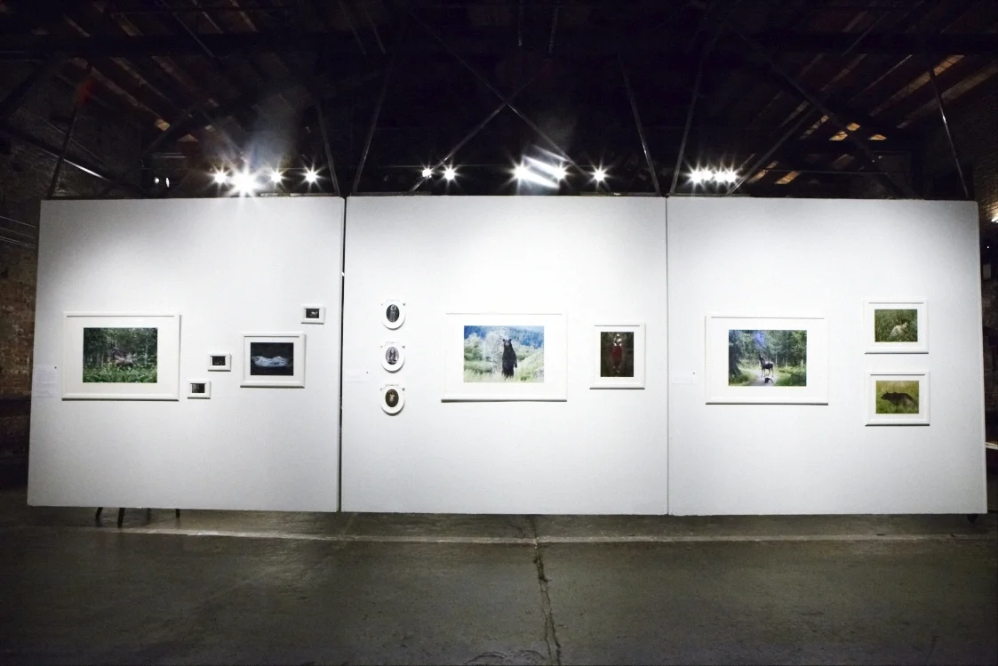 2013_tcp_exhibition_momentum_installatation_photo_by_neda_abghari_1133.jpg