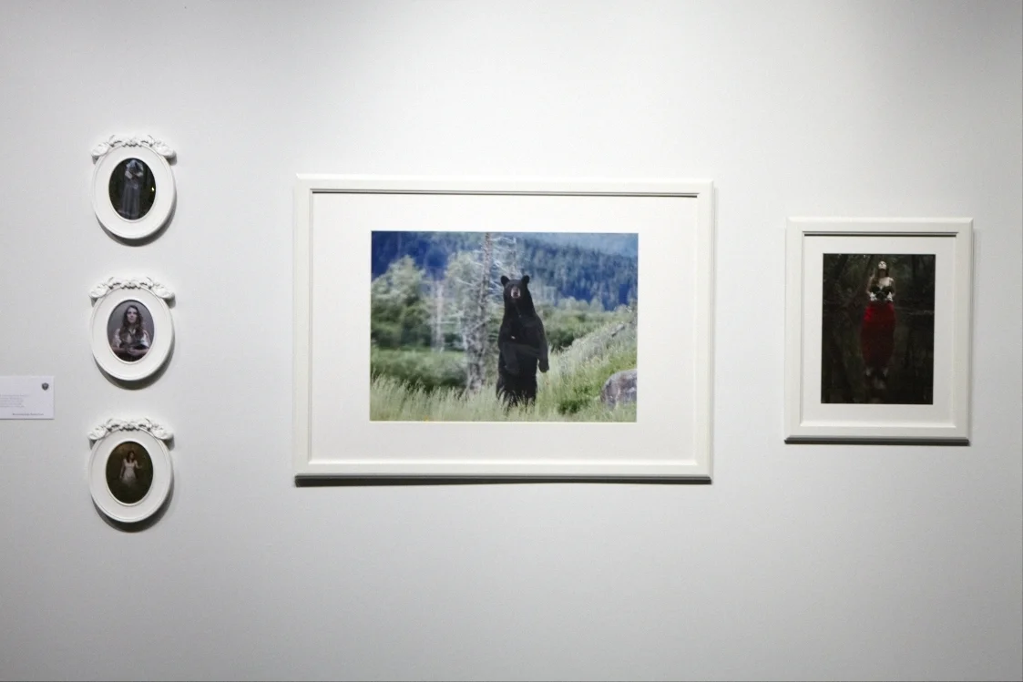 2013_tcp_exhibition_momentum_installatation_photo_by_neda_abghari_1175.jpg