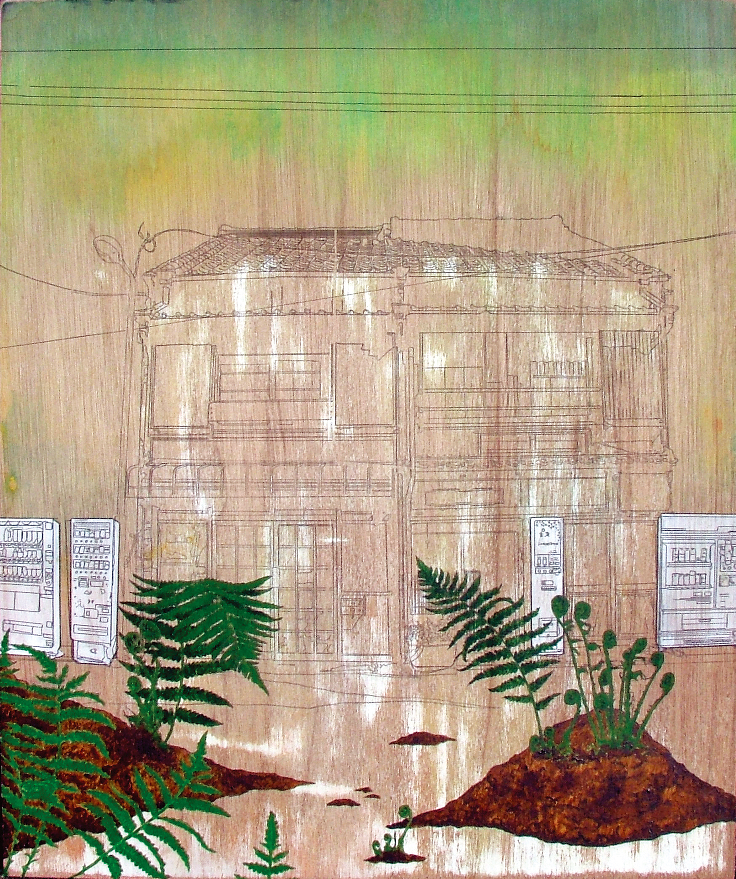12_Fern300dpiSilvey.jpg