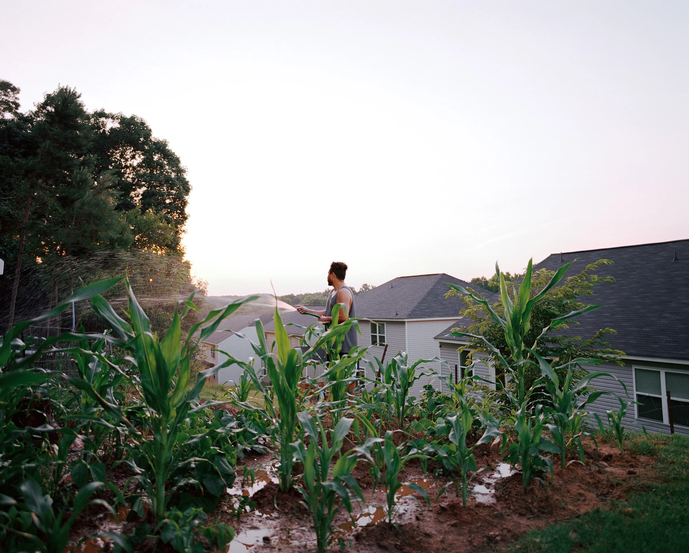 Mario_s Garden, 2021 (2006).jpg