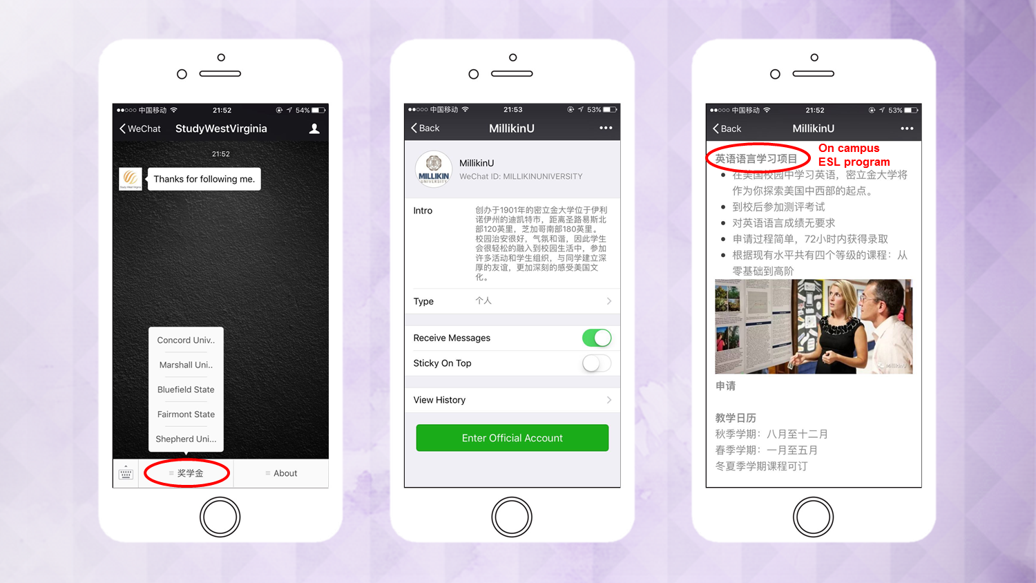 WeChat accounts managed by Sunrise.