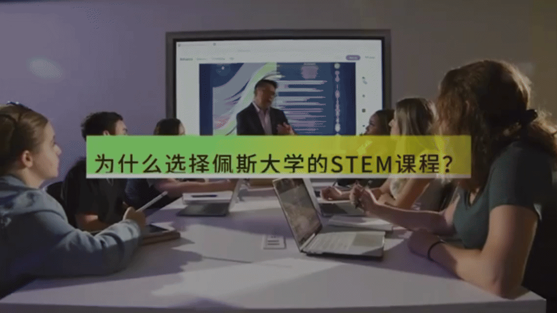 Case Study: Pace University Short Video Strategies