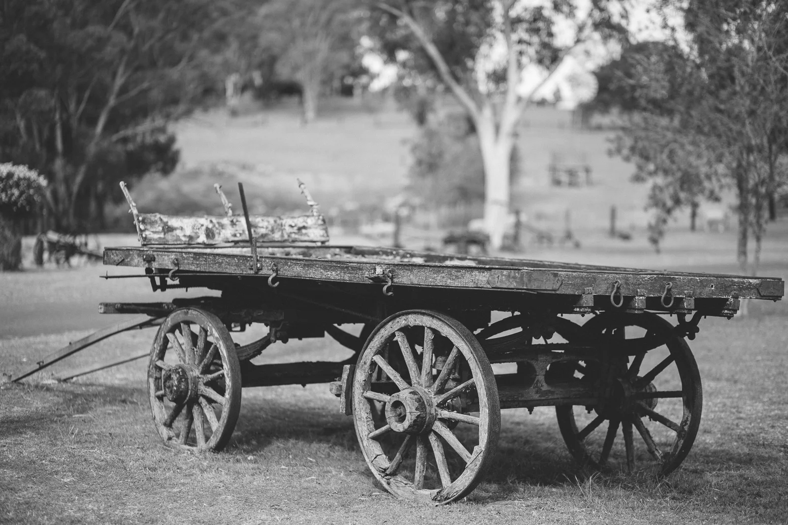 tobruk-sheep-station-wedding