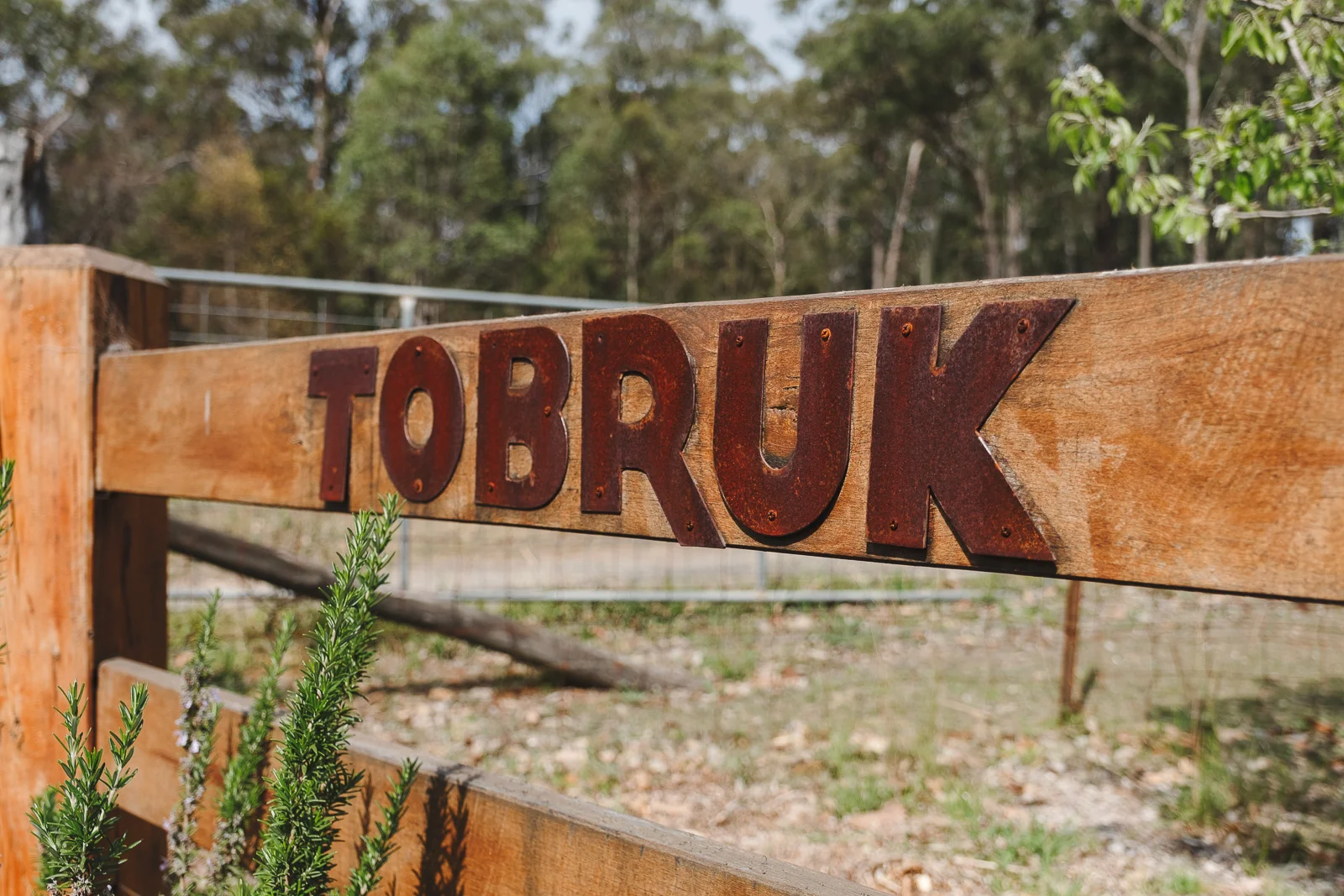 tobruk-sheep-station-wedding
