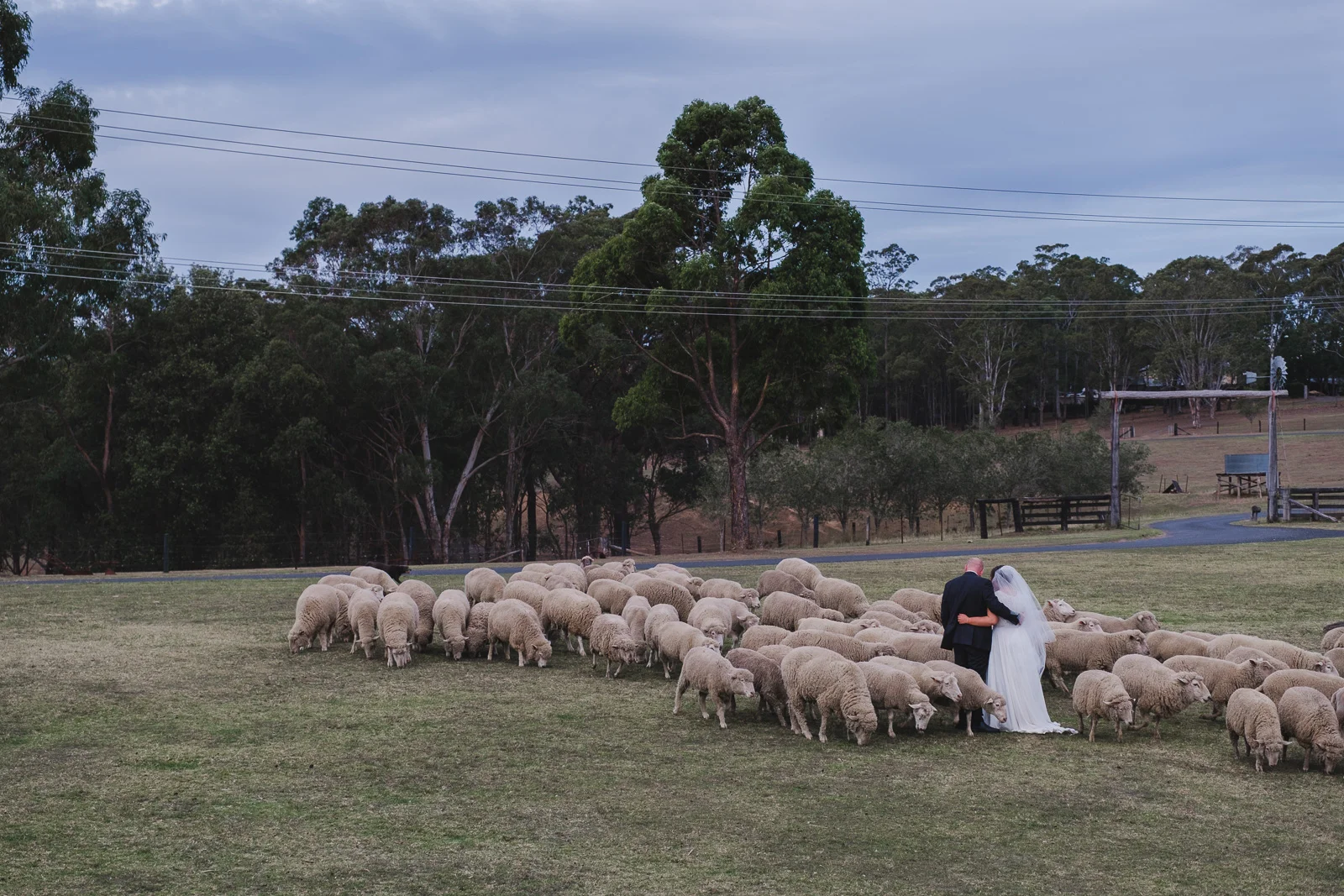 tobruk-sheep-station-wedding