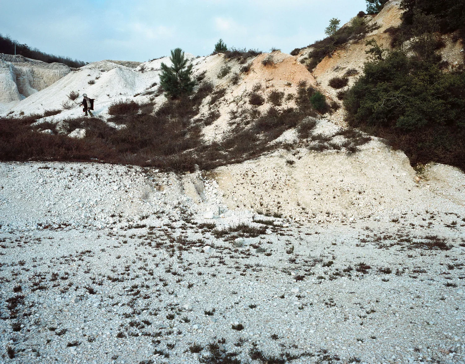 Visual+Arts (1).webp