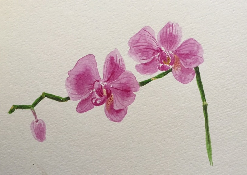acrylic