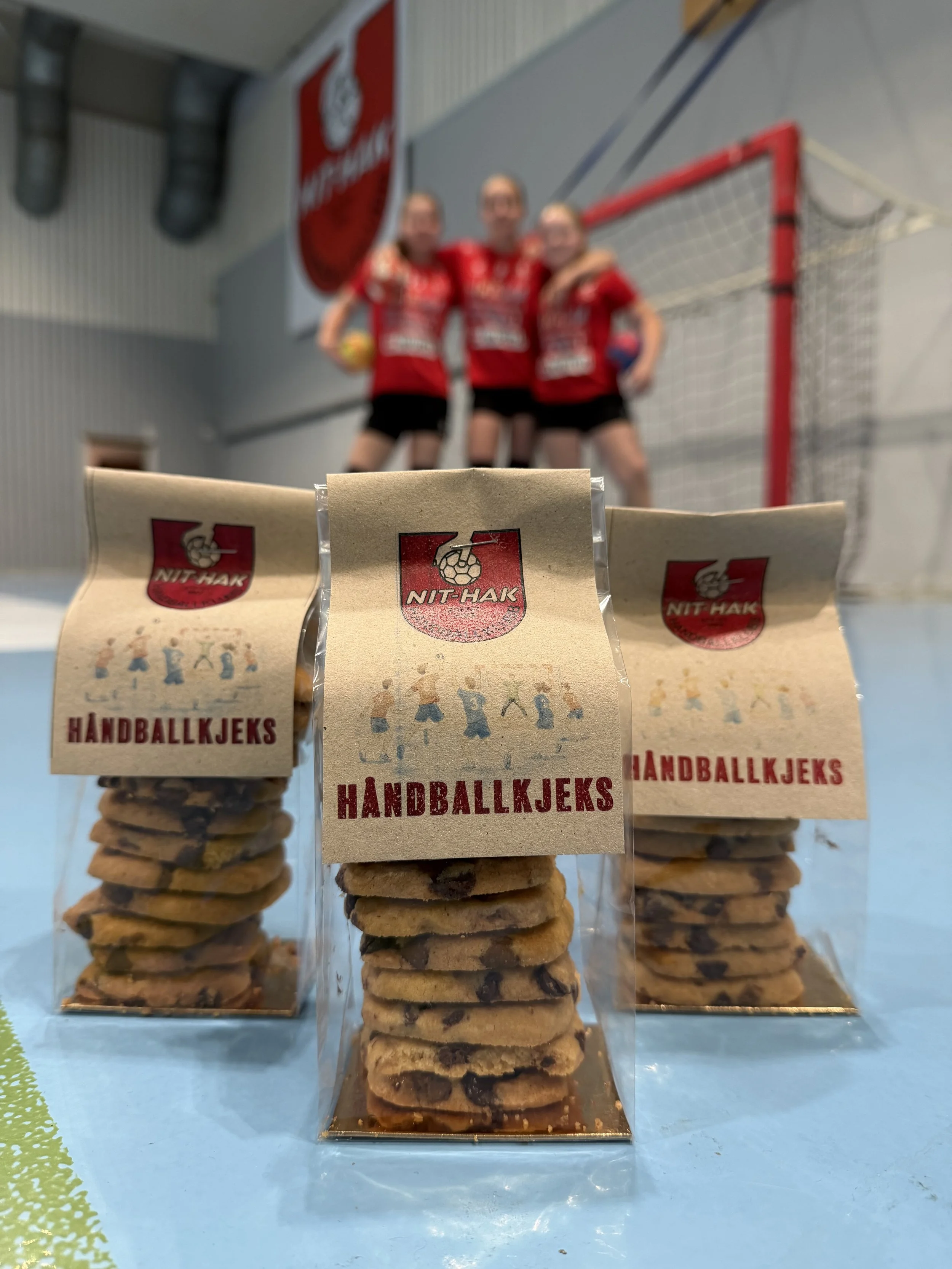 håndball1.jpeg