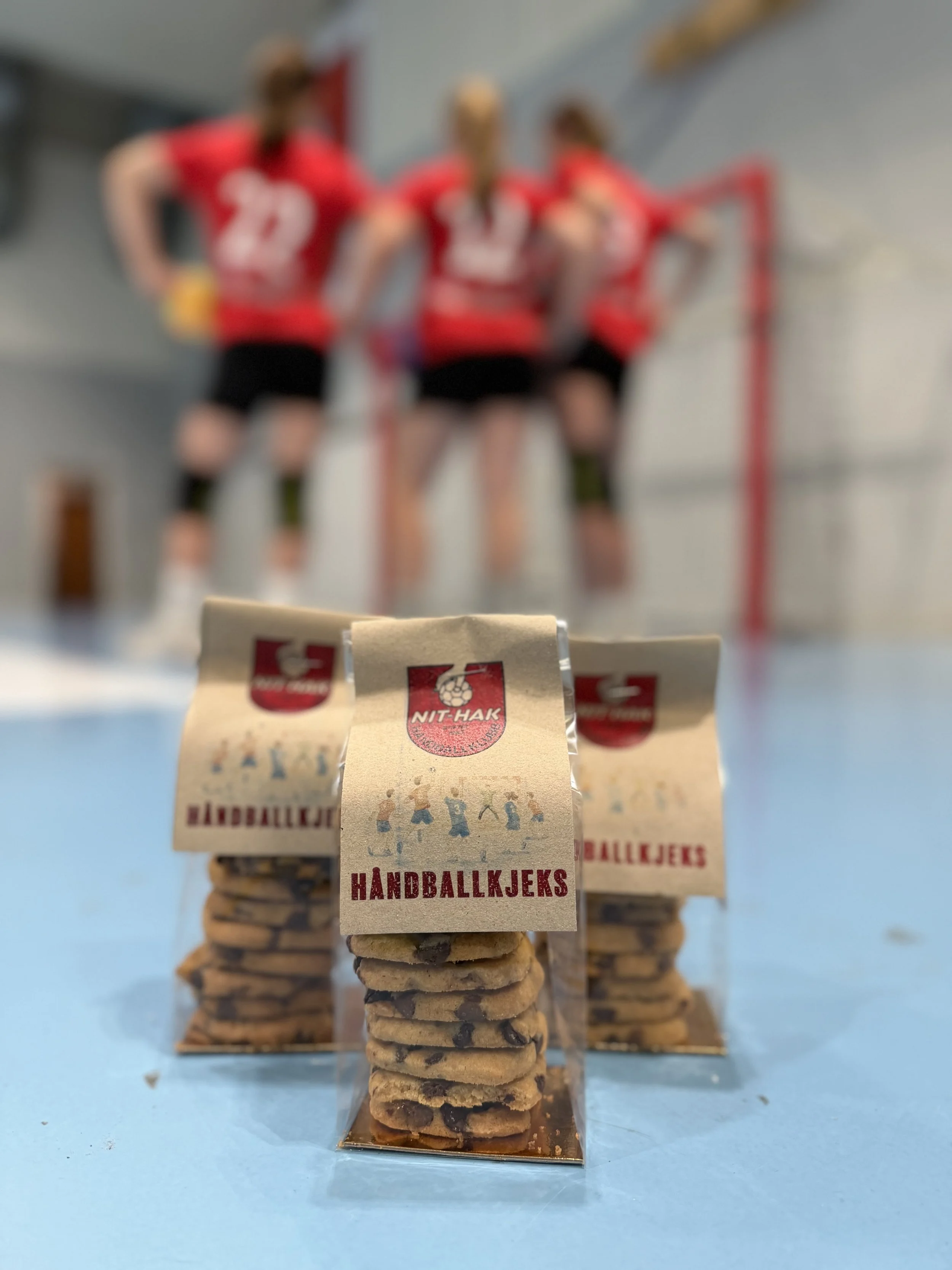håndball2.jpeg