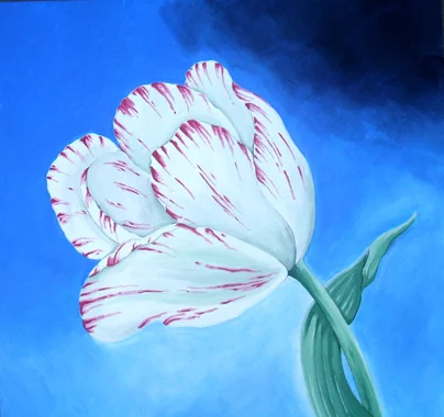 Tulip , 76x76cm £175