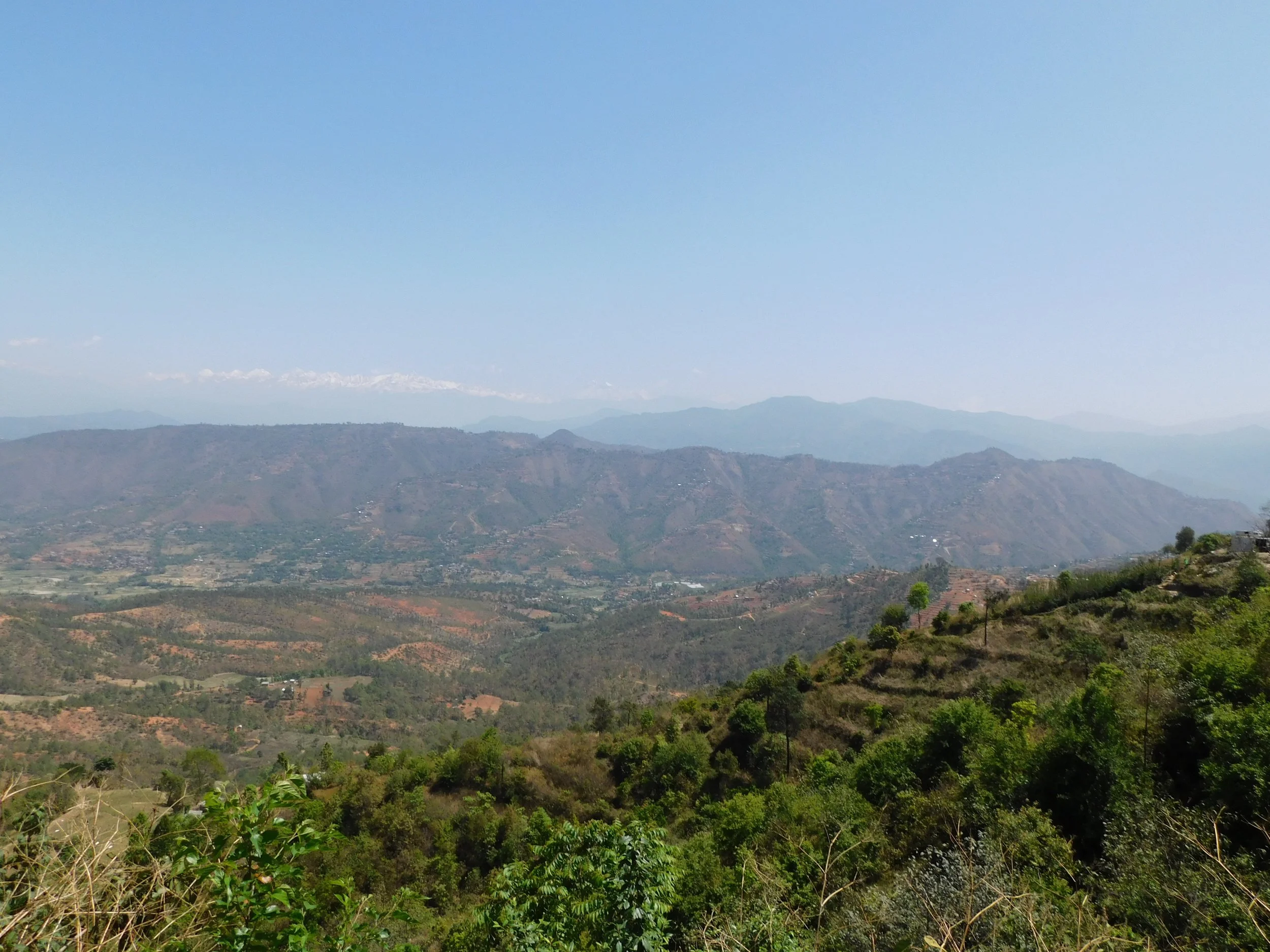 DSCN0137 2.jpg