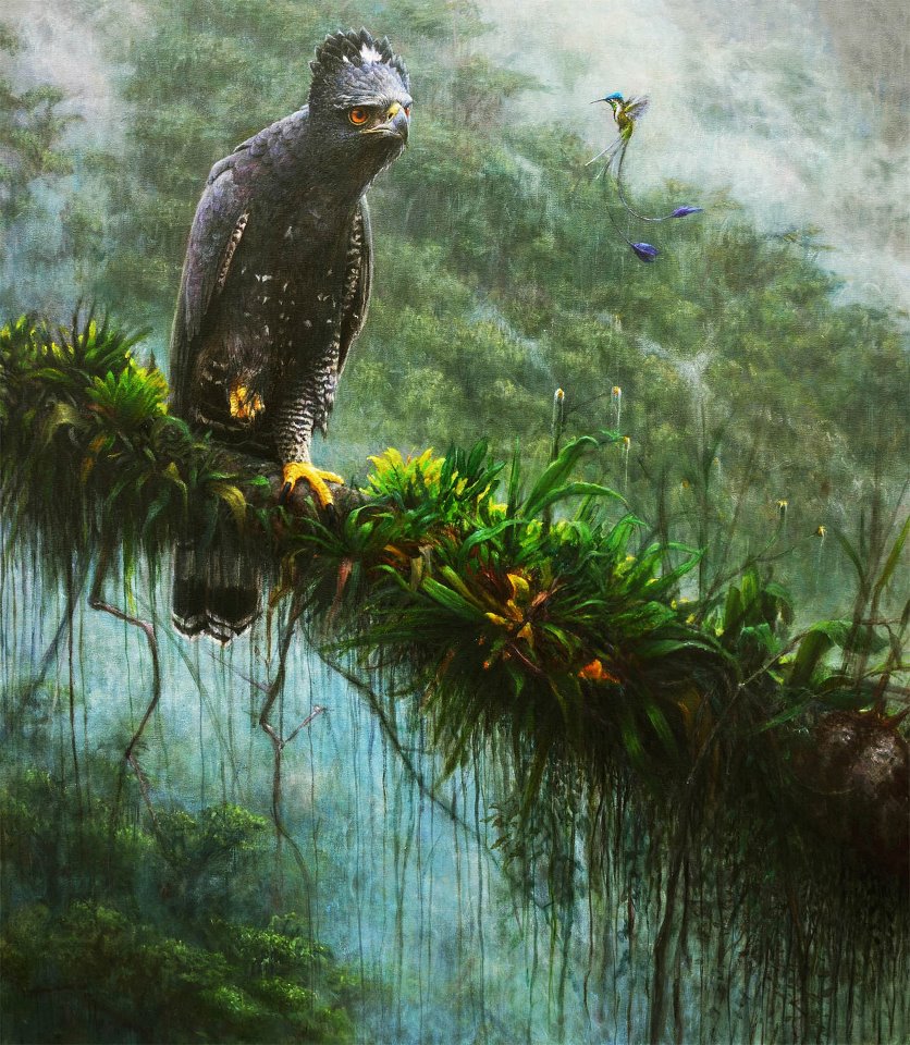 The Visit