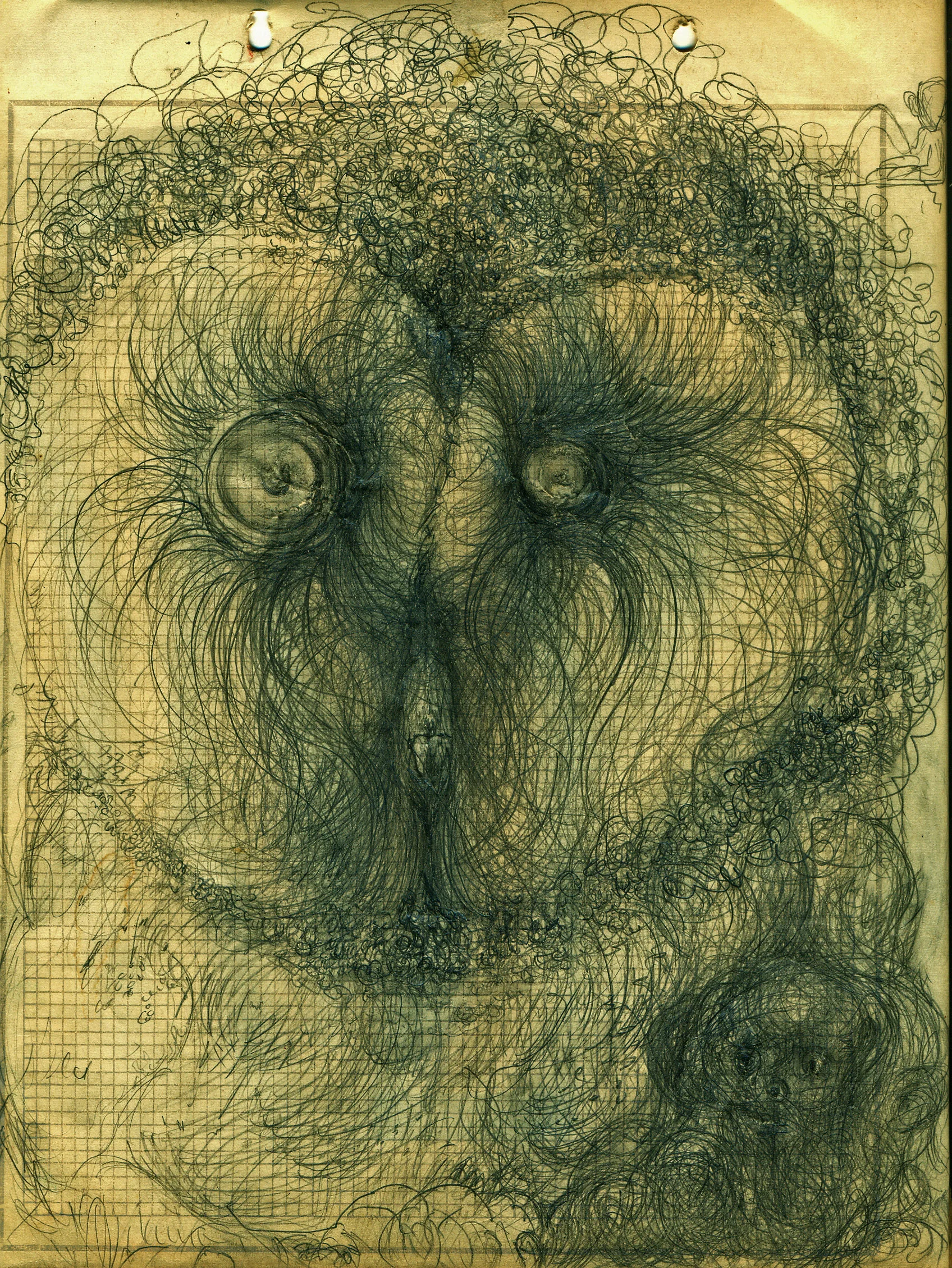 Owl and monkey