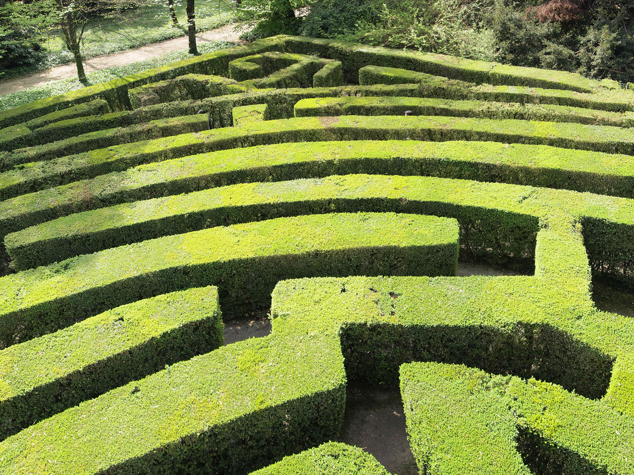 Enjoying the view of the Villa Pisani green maze