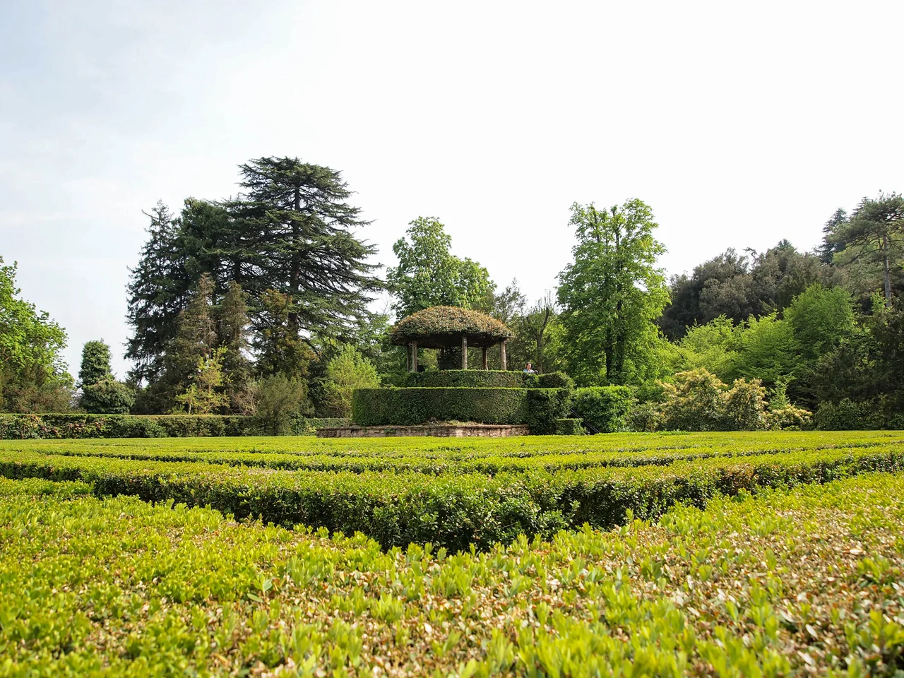 A view from the maze of Villa Babarigo
