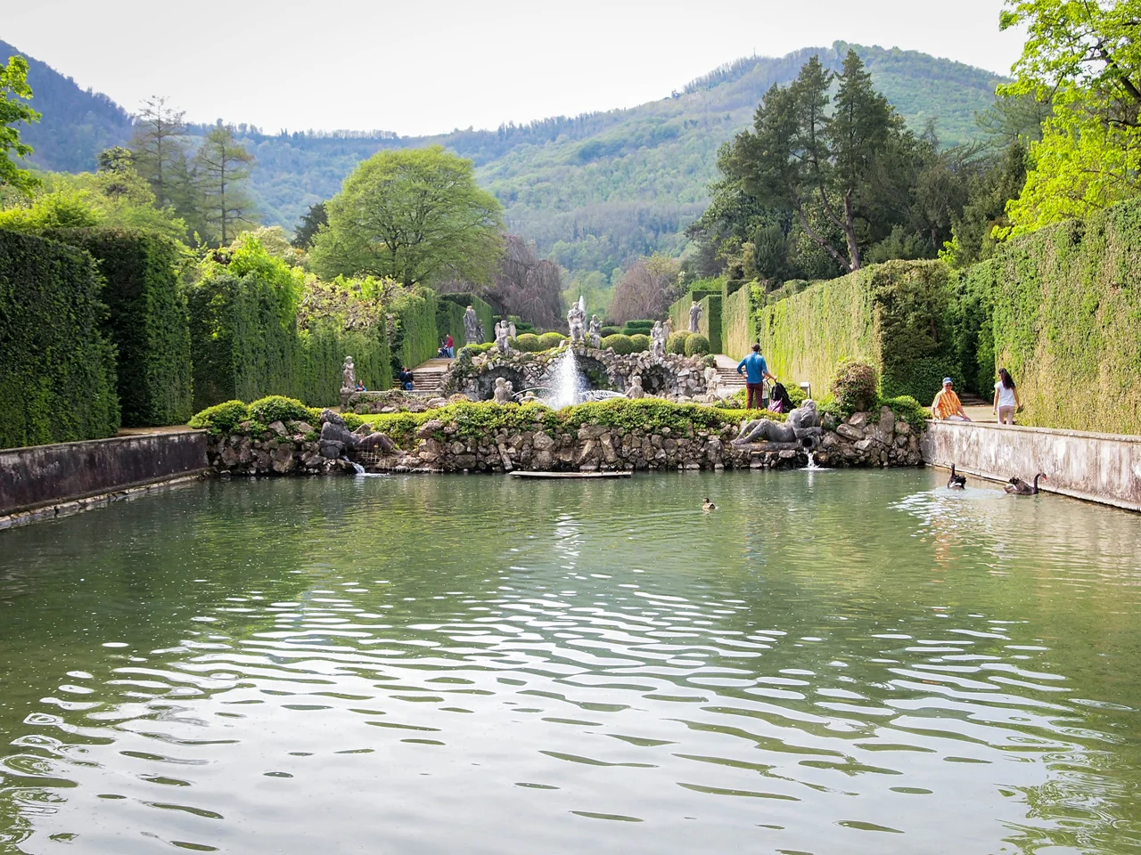 Lovely view of the garden and the Euganean hills