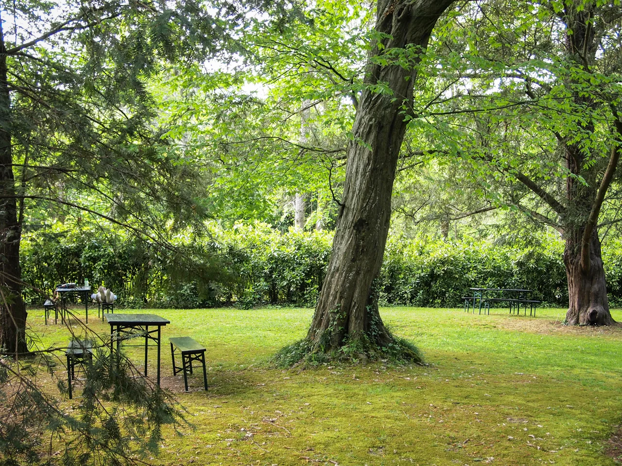 Lounging in the hidden picnic area :)