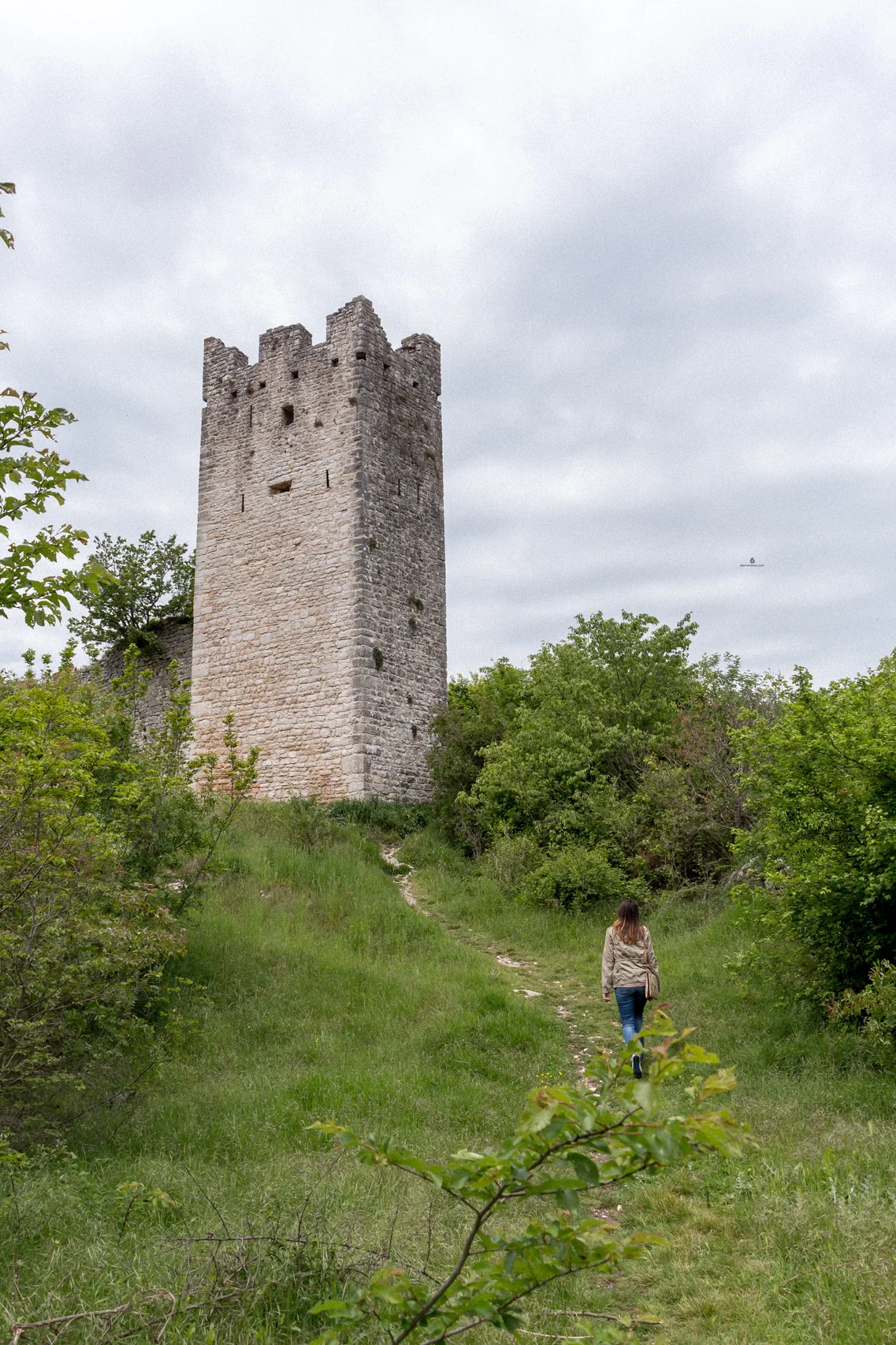 Istria-Dvigrad