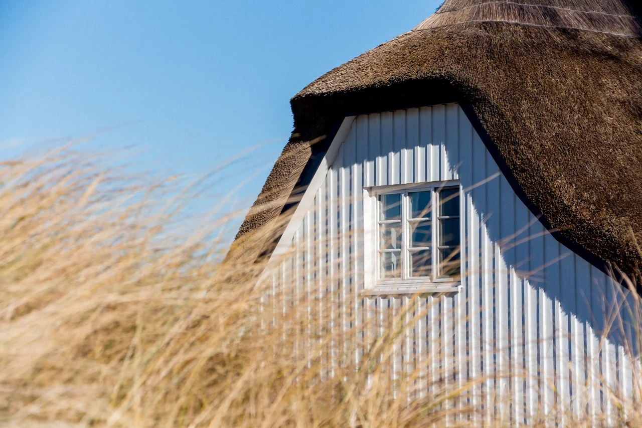 A good day in Ahrenshoop