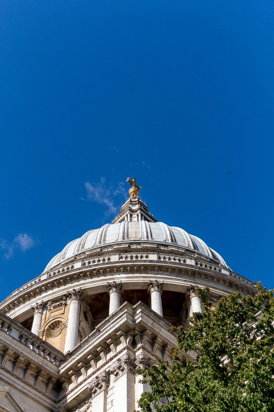 IMG_6972-26.jpg