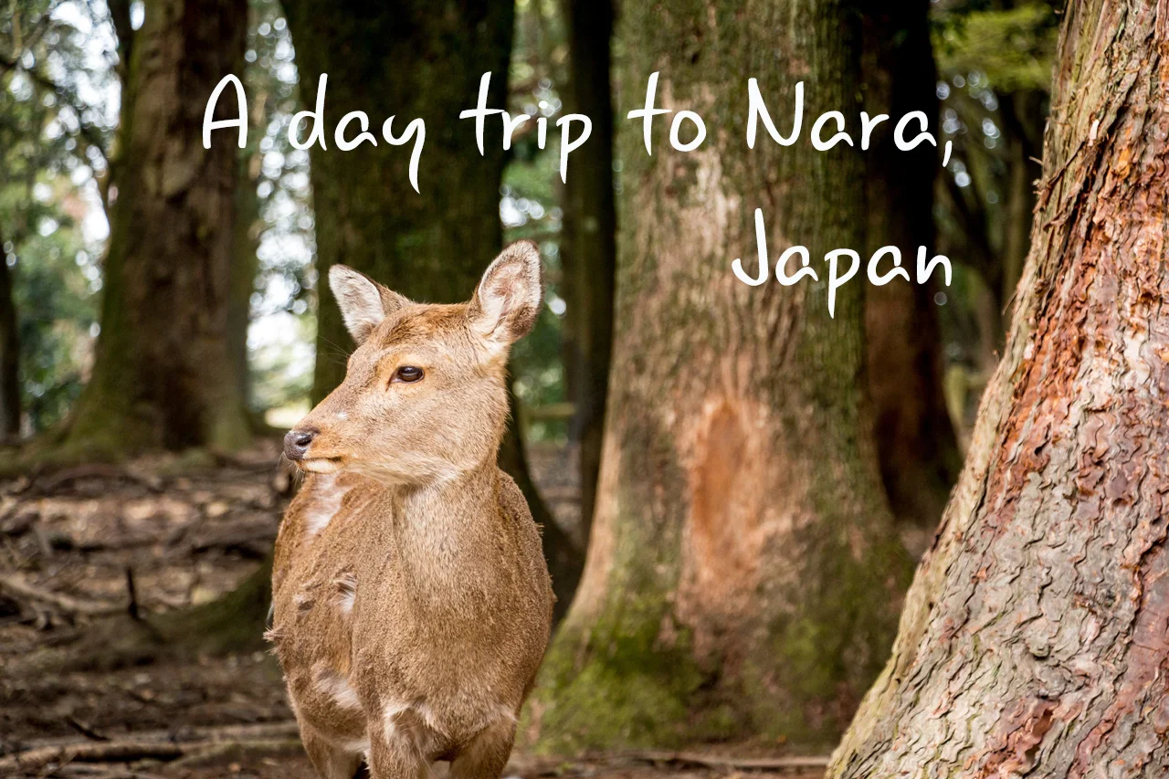 Nara-Japan