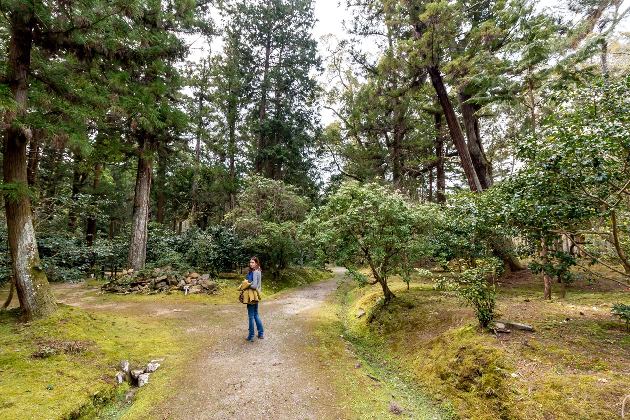 Manyo-botanical-garden