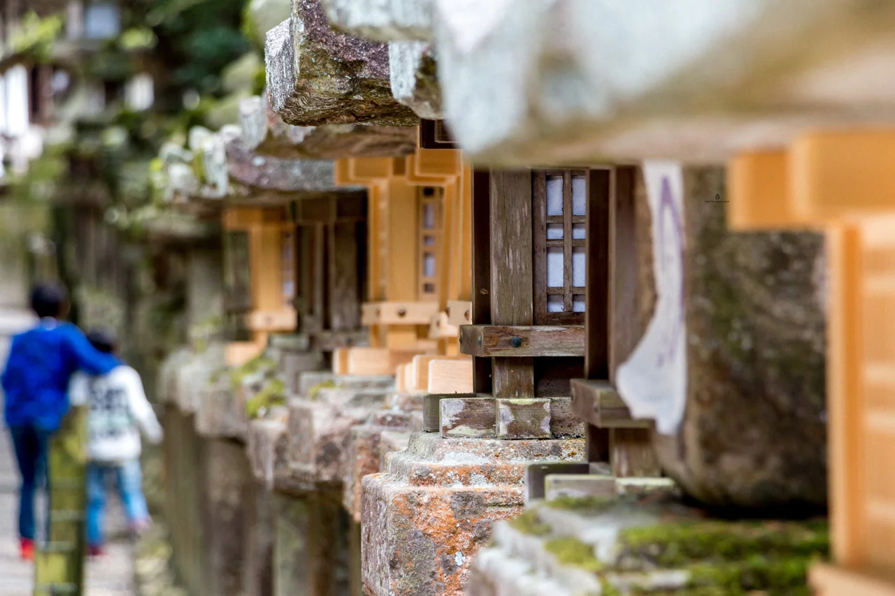 Kasuga-Taisha-Nara