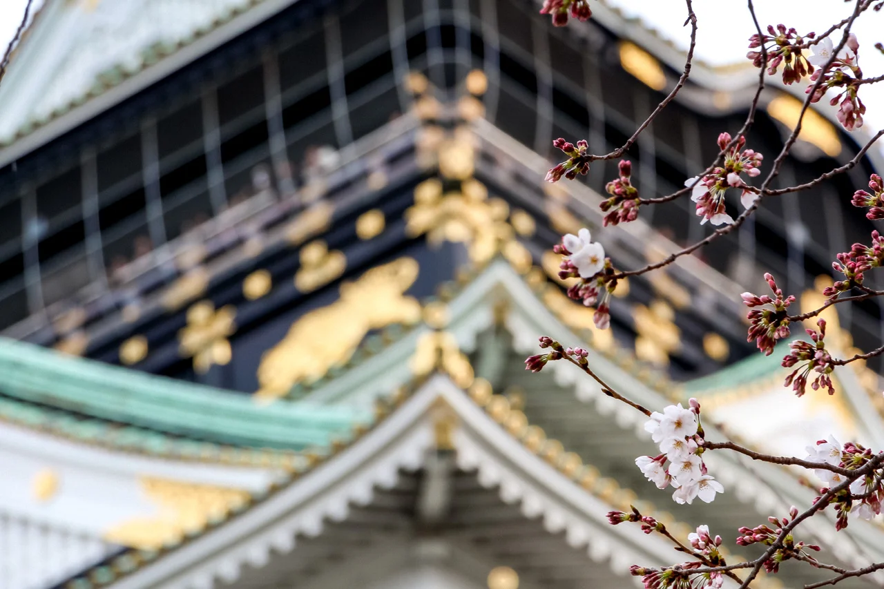 Osaka-castle