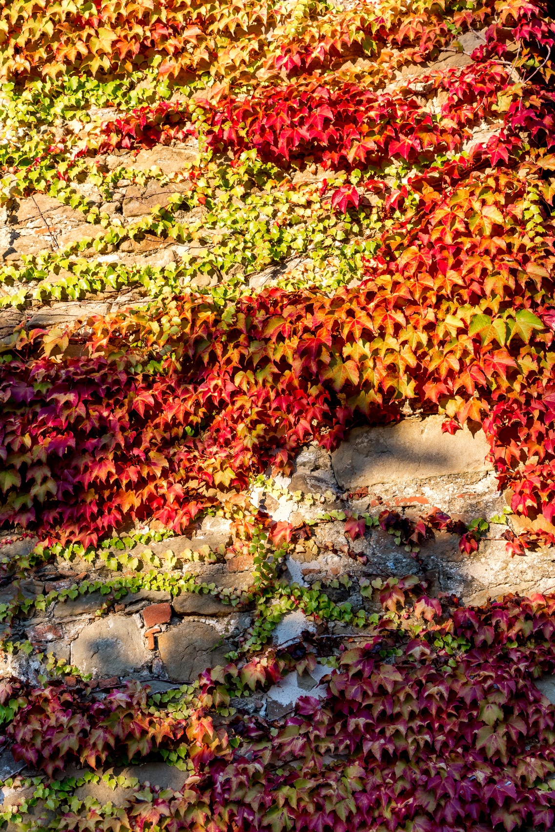 Autumn escape to Umbria, Italy