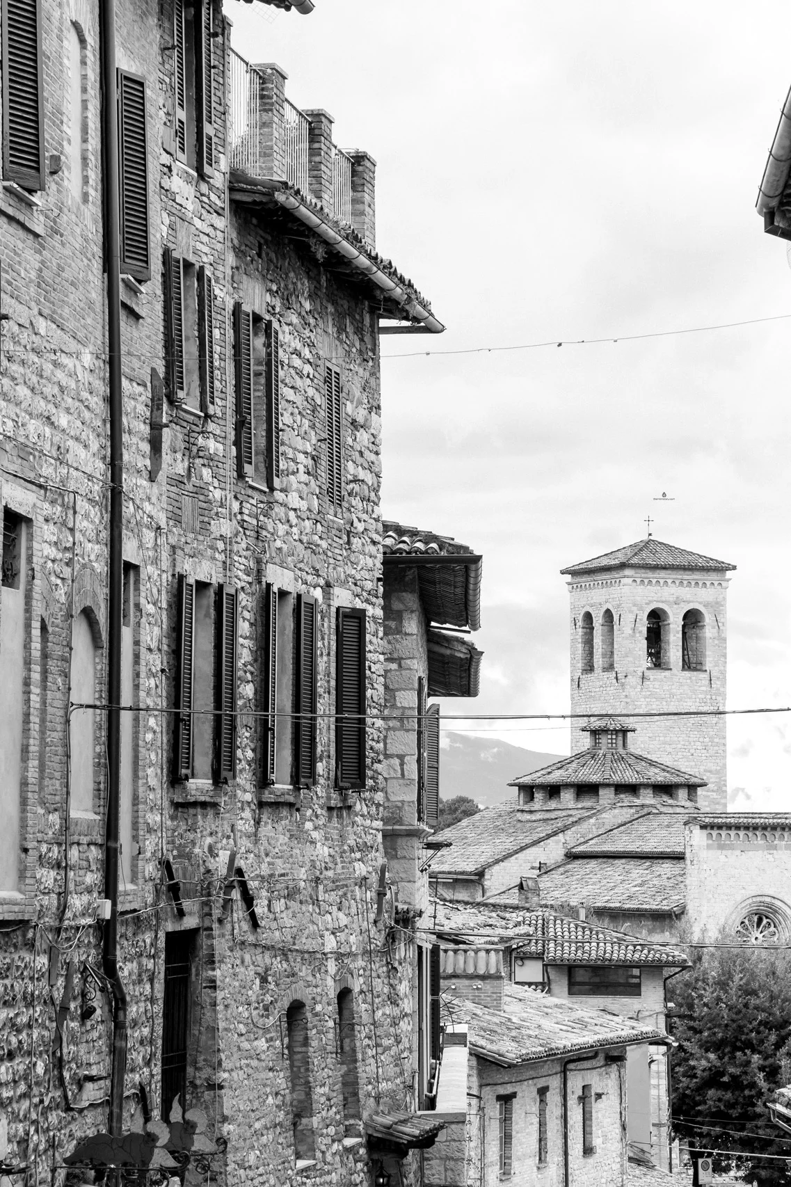 The town of Assisi in Umbria