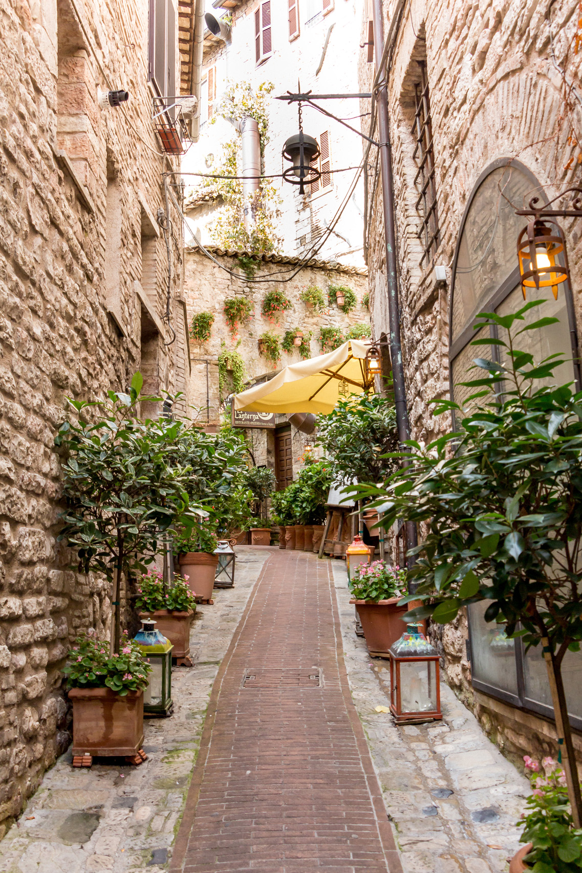 Flowery street in Assisi, Umbria