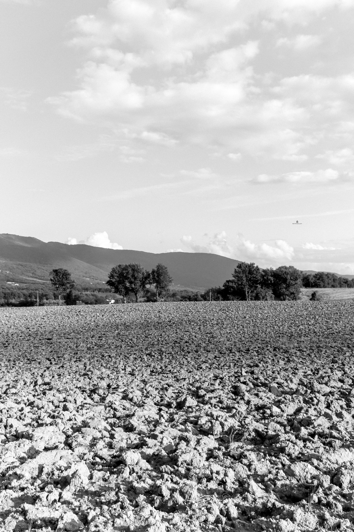  Fields near Todi, Umbria 