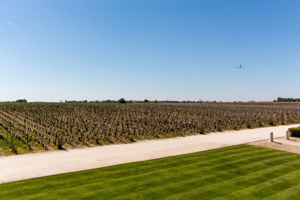 Vineyards in Medoc