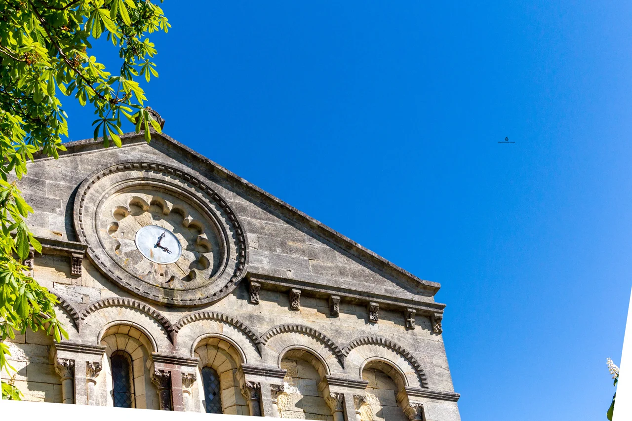 Details in Medoc region of France