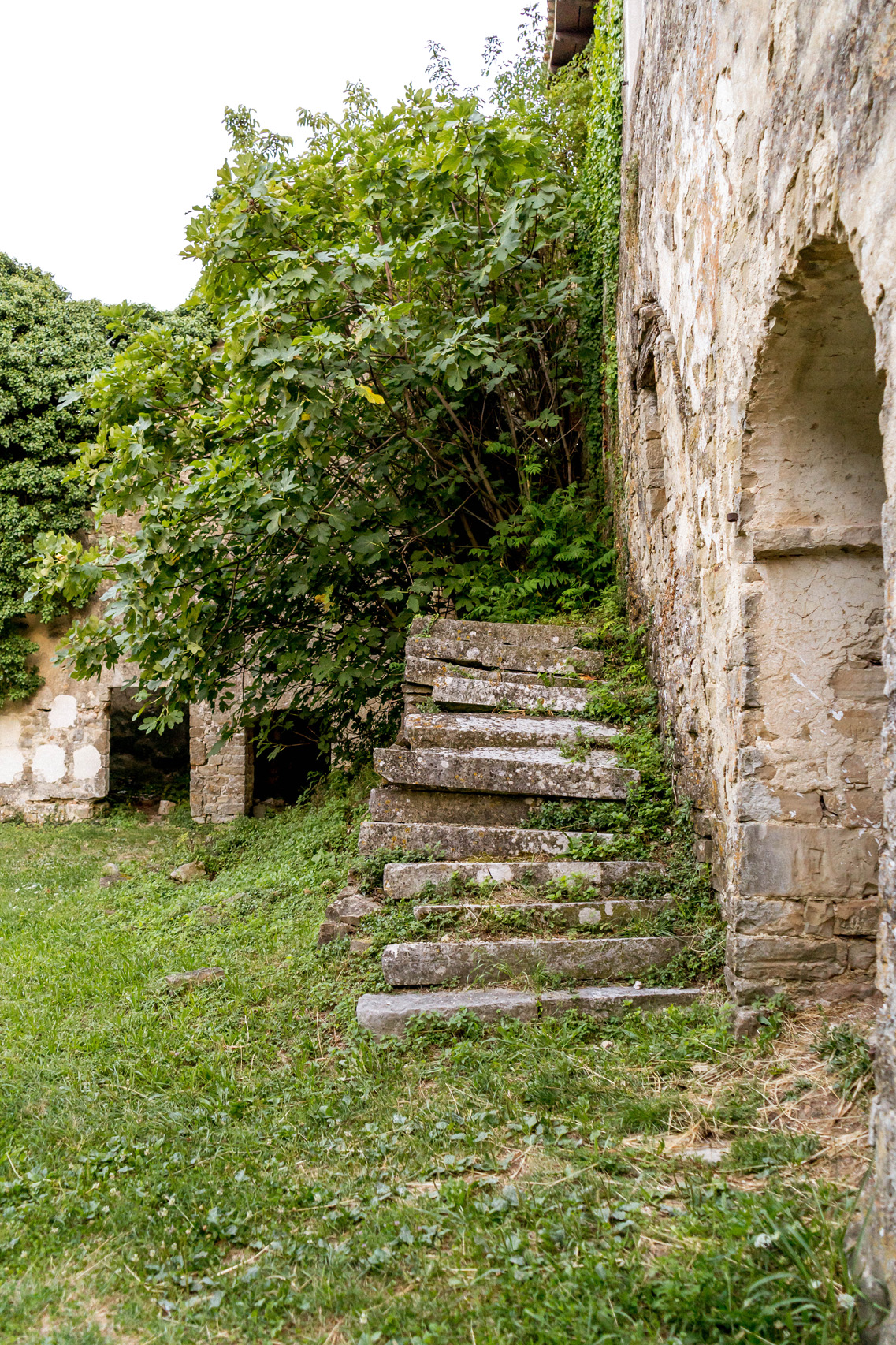 Forgotten town of Zavrsje, Istria
