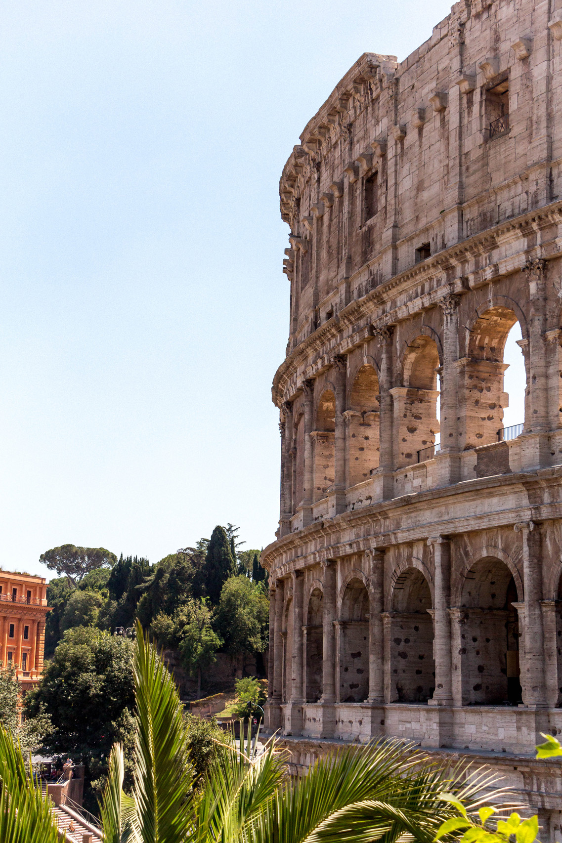 The Colosseum, Rome