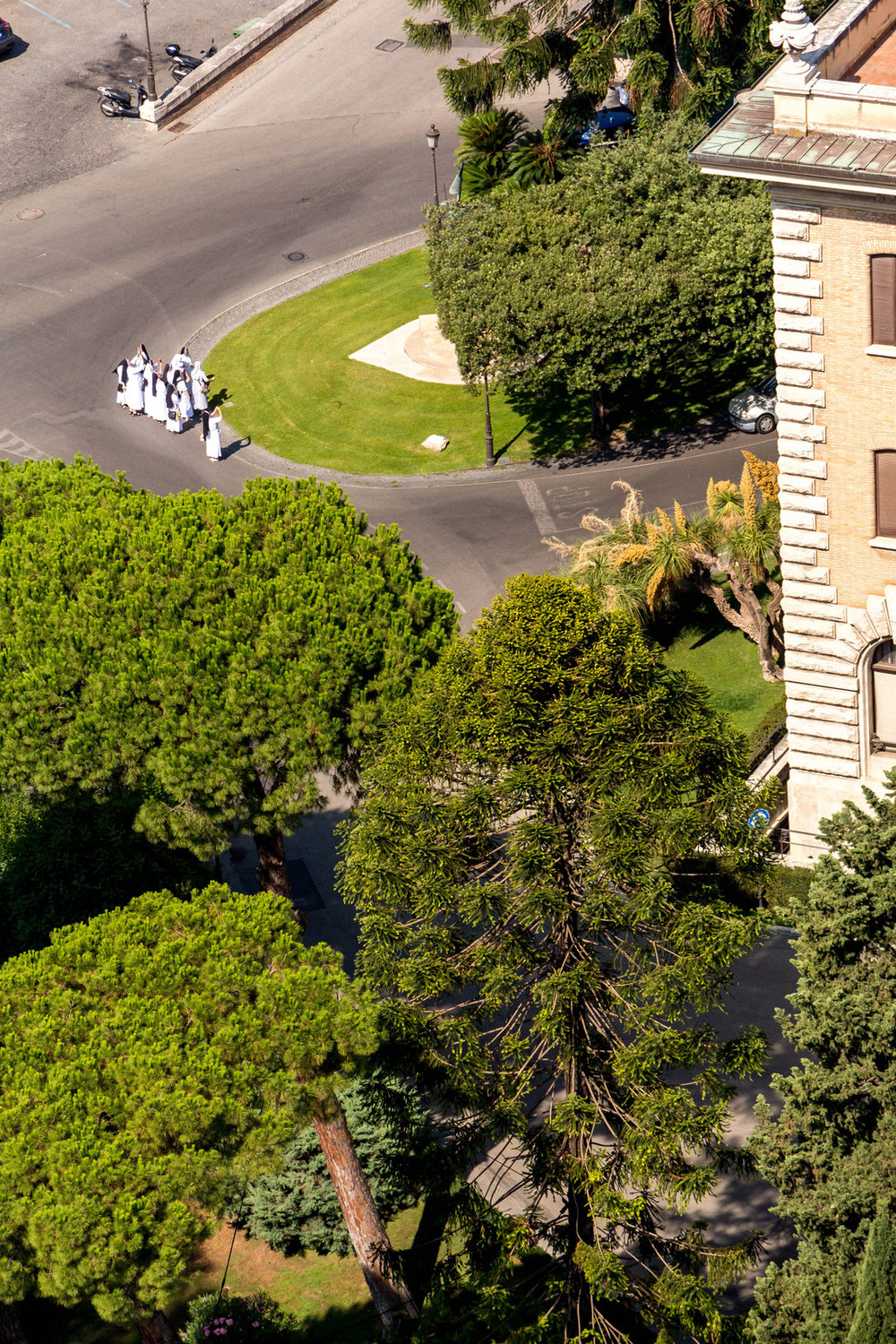 The view from St. Peter's Basilica dome