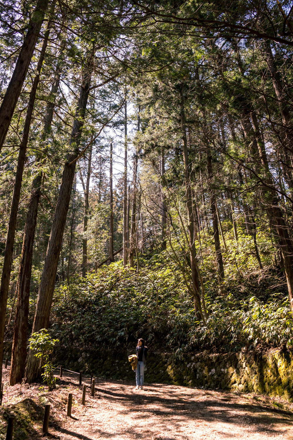 Shiroyama park, Takayama