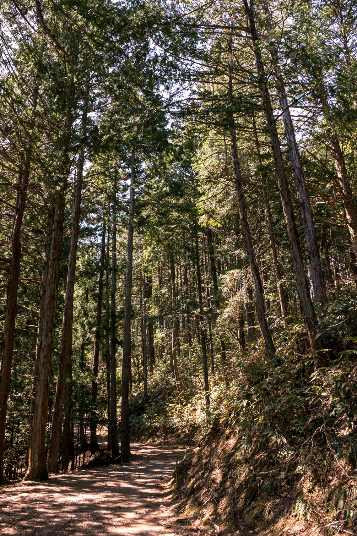 Shiroyama park, Hida Takayama