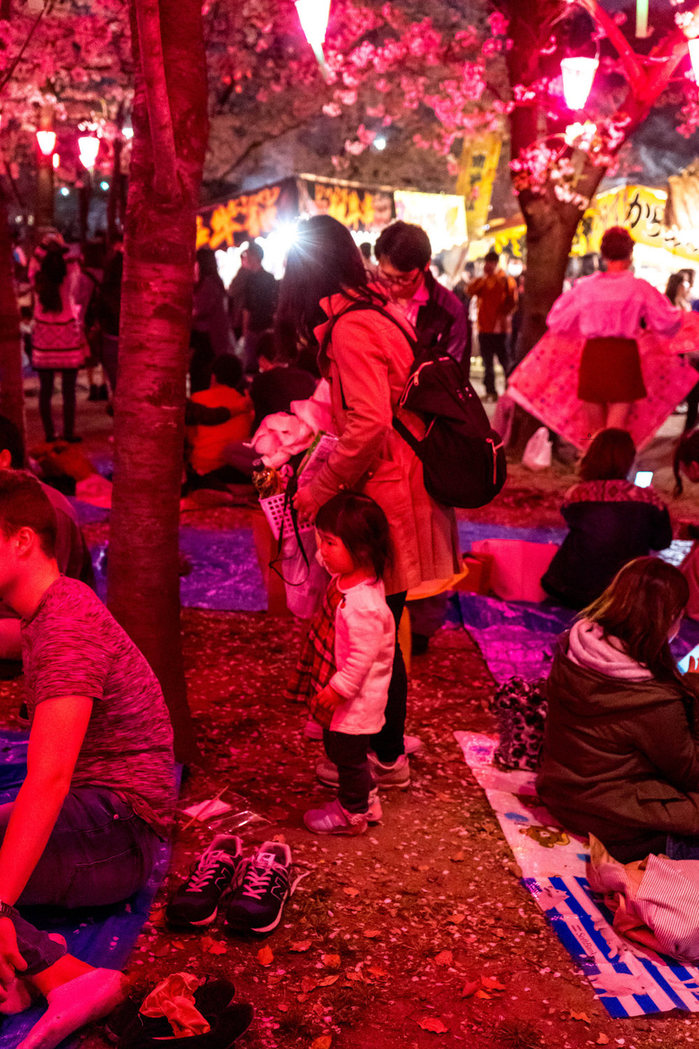 Hanami festival by night, Tsurumai park