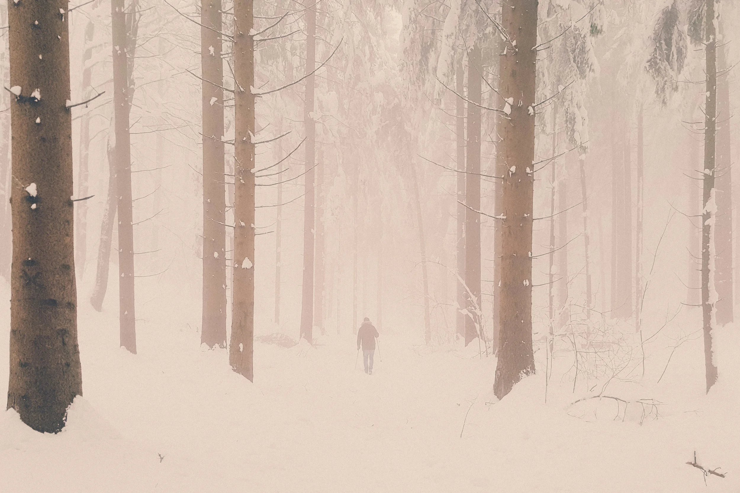 Japetic, a trail leading to Zitnica mountain hut